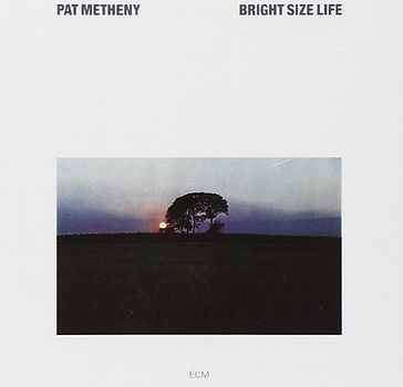 Pat Metheny - Bright Size Life