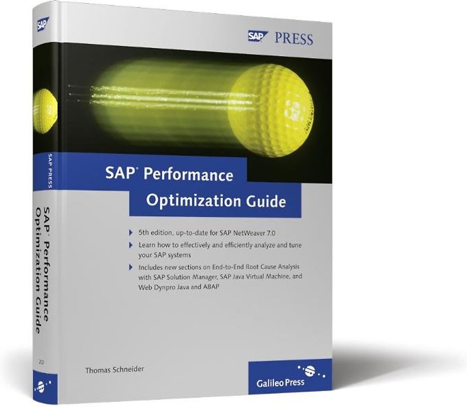 SAP Performance Optimization Guide