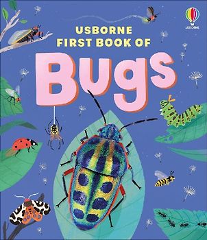 The Usborne First Book of Bugs