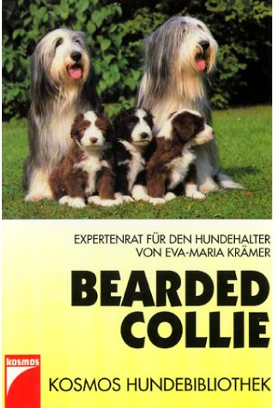 Bearded Collie