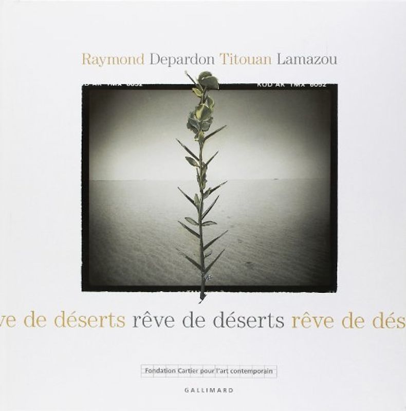 Reve de deserts