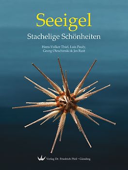 Seeigel – Stachelige Schönheiten