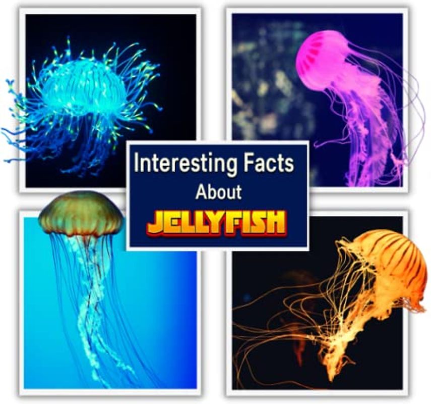 Interesting Facts About Jellyfish: Children's Picture Book for Jellyfish / Learn Facts About the Jellyfish for Kids (A Colorful Picture Book for Kids)
