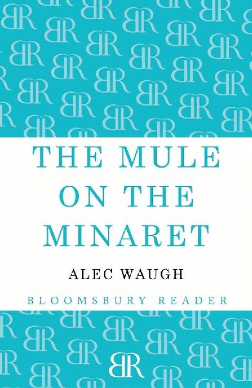 The Mule on the Minaret