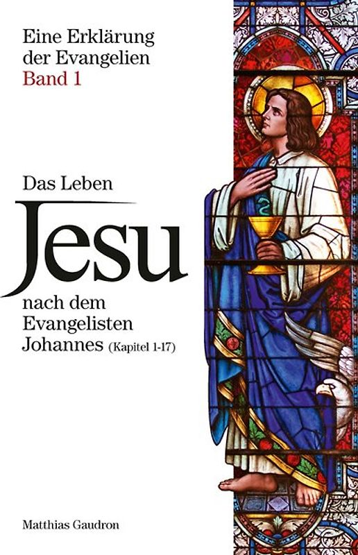 Eine Erklärung der Evangelien – Band I