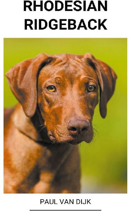 Rhodesian ridgeback