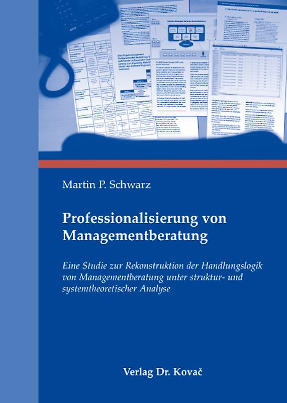 Professionalisierung von Managementberatung