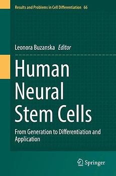 Human Neural Stem Cells
