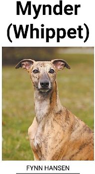 Mynder (Whippet)