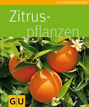Zitruspflanzen