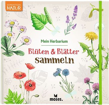 Blüten & Blätter sammeln