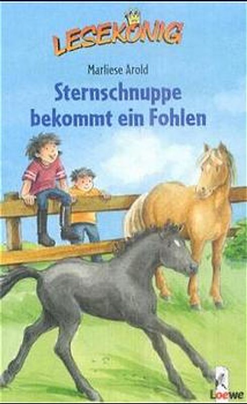 Sternschnuppe bekommt ein Fohlen