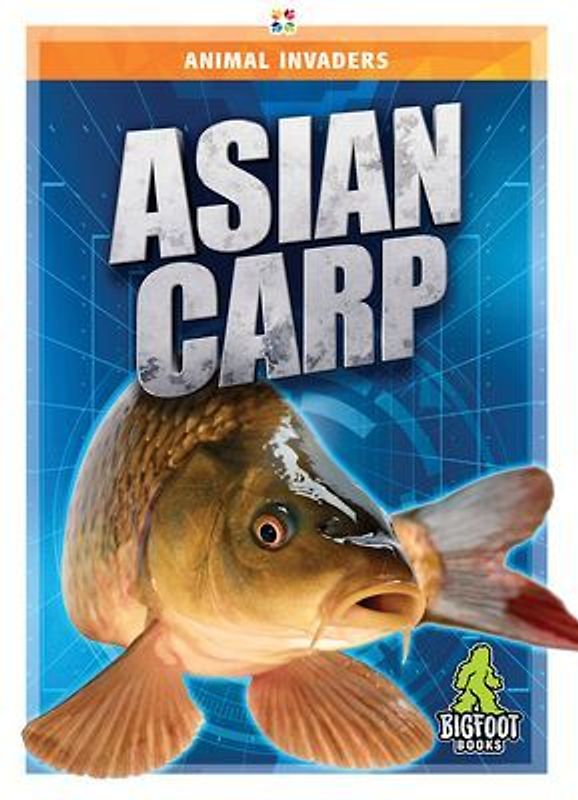 Asian Carp
