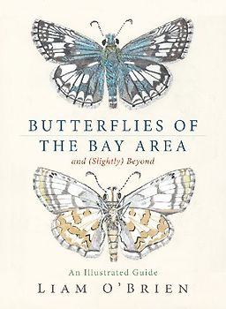 Butterflies of the Bay Area and (Slightly) Beyond