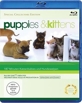 Puppies & Kittens Blu-ray Disc