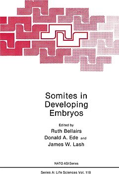 Somites in Developing Embryos