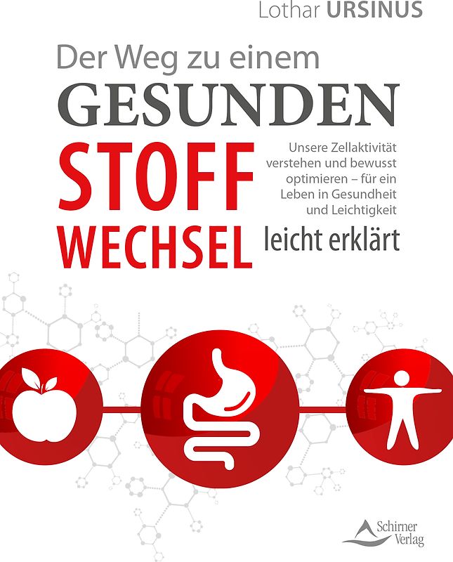 Der Weg zu einem gesunden Stoffwechsel – leicht erklärt