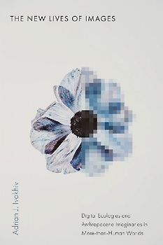 The New Lives of Images