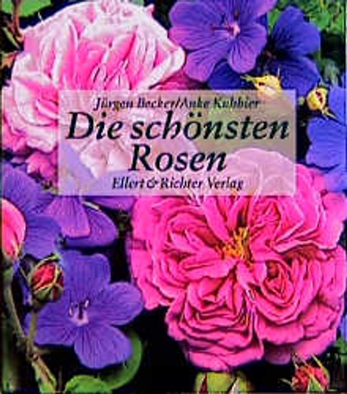 Die schönsten Rosen