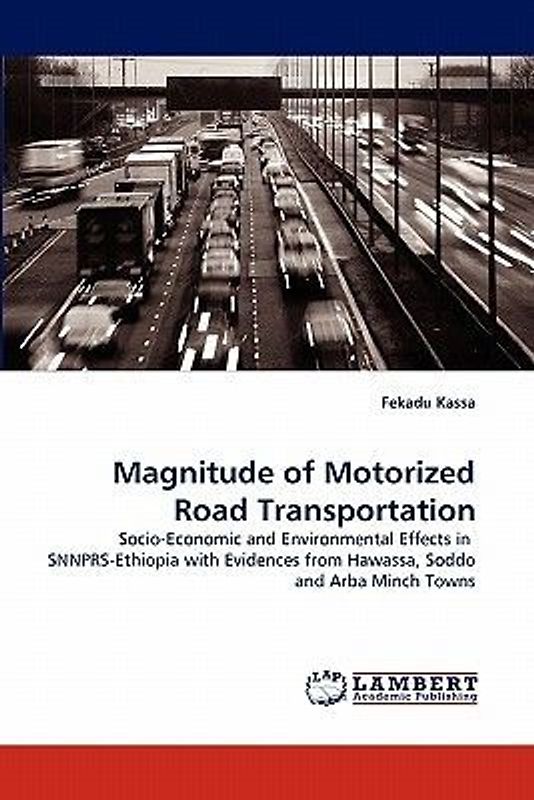 Magnitude of Motorized Road Transportation