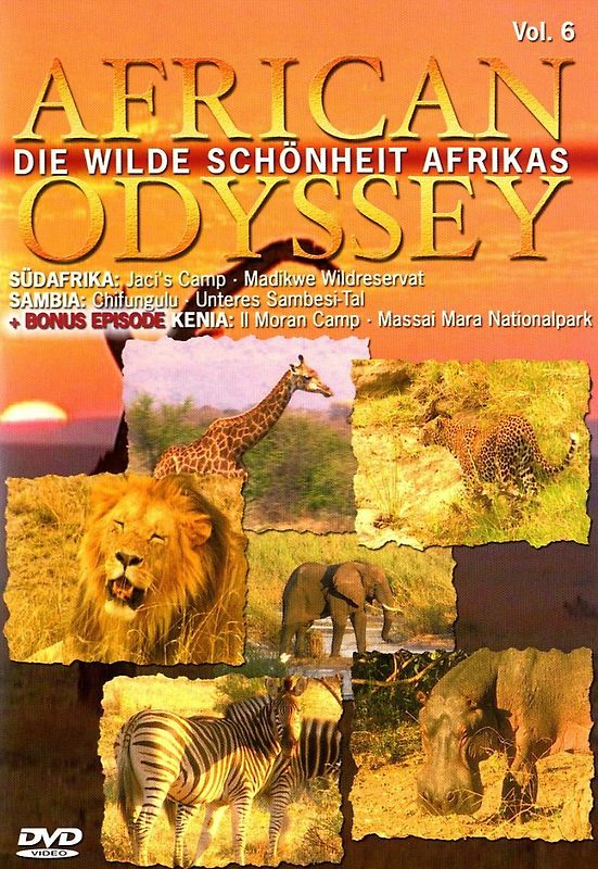 African Odyssey - Vol. 06 DVD