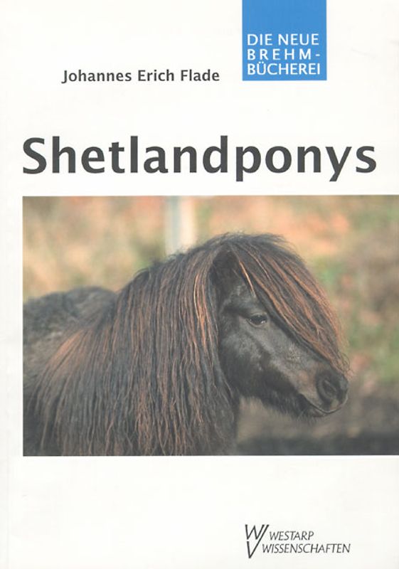Shetlandponys