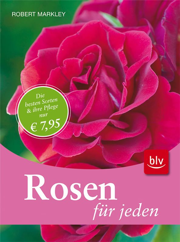 Rosen für jeden