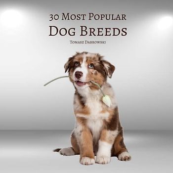 30 Most Popular Dog Breeds