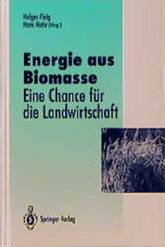 Energie aus Biomasse