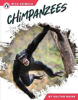 Chimpanzees