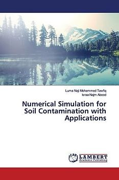Numerical Simulation for Soil Contamination with Applications