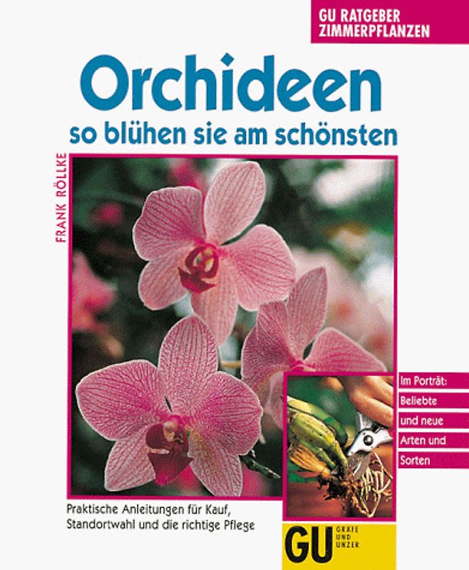 Orchideen - so blühen sie am schönsten. Praktische Anleitungen für Kauf, Standortwahl und die richtige Pflege. Im Porträt: Beliebte und neue Arten und Sorten