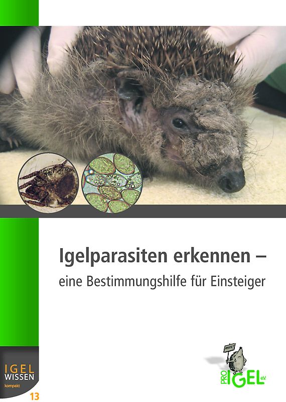 Igelparasiten erkennen