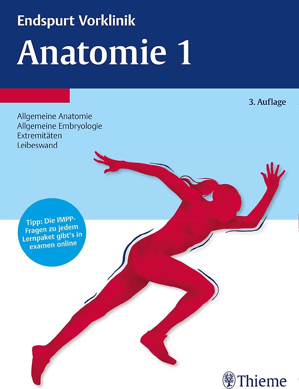 Endspurt Vorklinik: Anatomie 1. Die Skripten fürs Physikum
