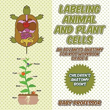 Labeling Animal and Plant Cells - An Advanced Anatomy for Kids Workbook Grade 6 Children's Anatomy Books