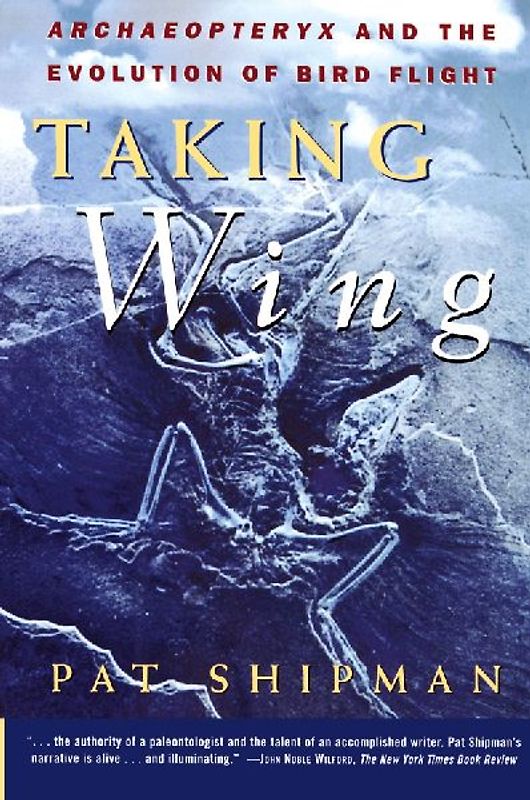 Taking Wing