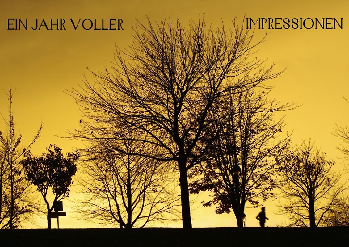 Ein Jahr voller Impressionen (Posterbuch DIN A3 quer)