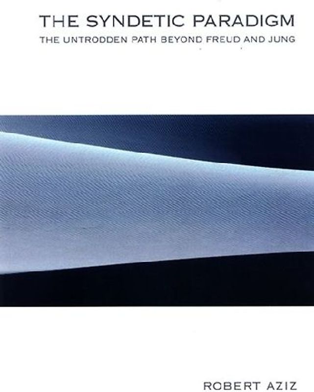 The Syndetic Paradigm