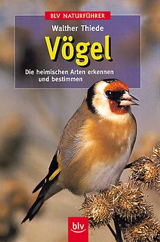 Vögel