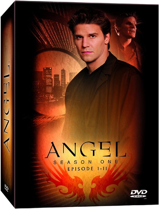 Angel - Jäger der Finsternis: Season 1.1 Collection (Episoden 1-11) [Box Set] DVD