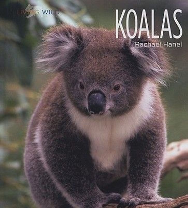 Koalas