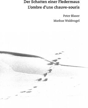 Der Schatten einer Fledermaus | L’ombre d’une chauve-souris