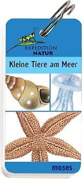 Expedition Natur - Kleine Tiere am Meer