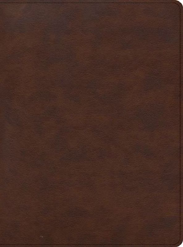 CSB Apologetics Study Bible for Students, Brown Leathertouch