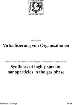 Virtualisierung von Organisationen. Synthesis of highly specific Nanoparticles in the gas phase