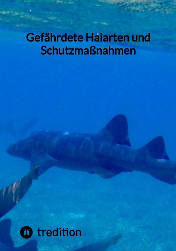 Gefährdete Haiarten und Schutzmaßnahmen