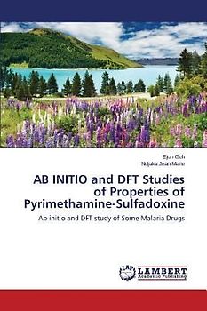 AB INITIO and DFT Studies of Properties of Pyrimethamine-Sulfadoxine