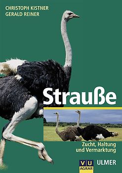 Strausse