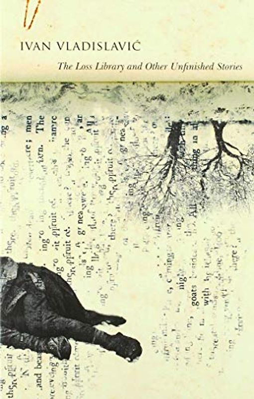 The Loss Library and Other Unfinished Stories (Africa List)