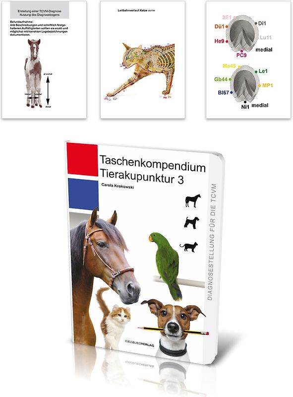 Tierakupunktur Taschenkompendium 3
